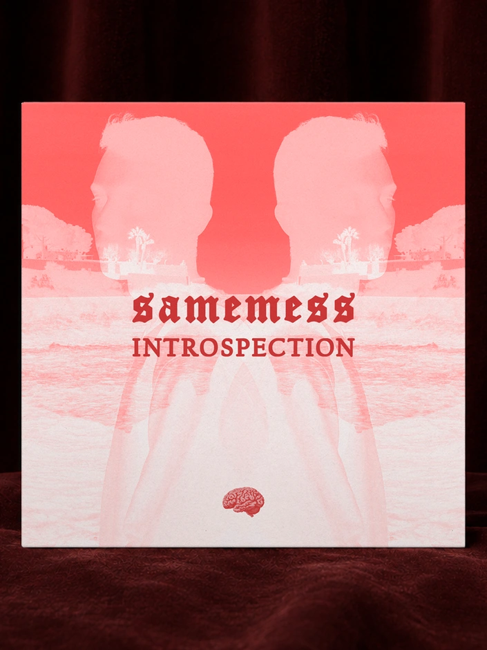 Introspection EP sleeve with mirrored portraits in red and pale pink, standing against softly lit dark red velvet curtains.